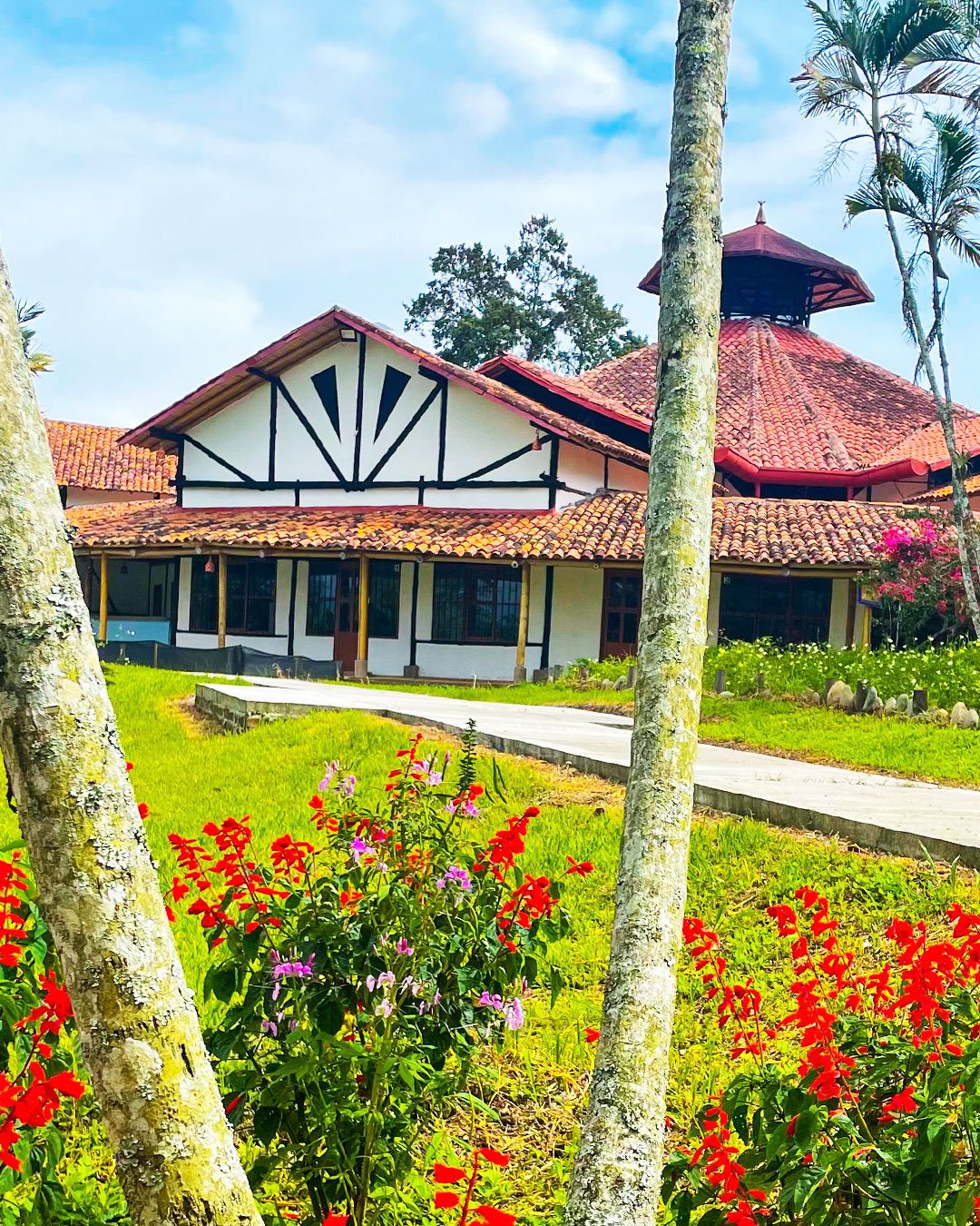 gran-salón-amanecer-03