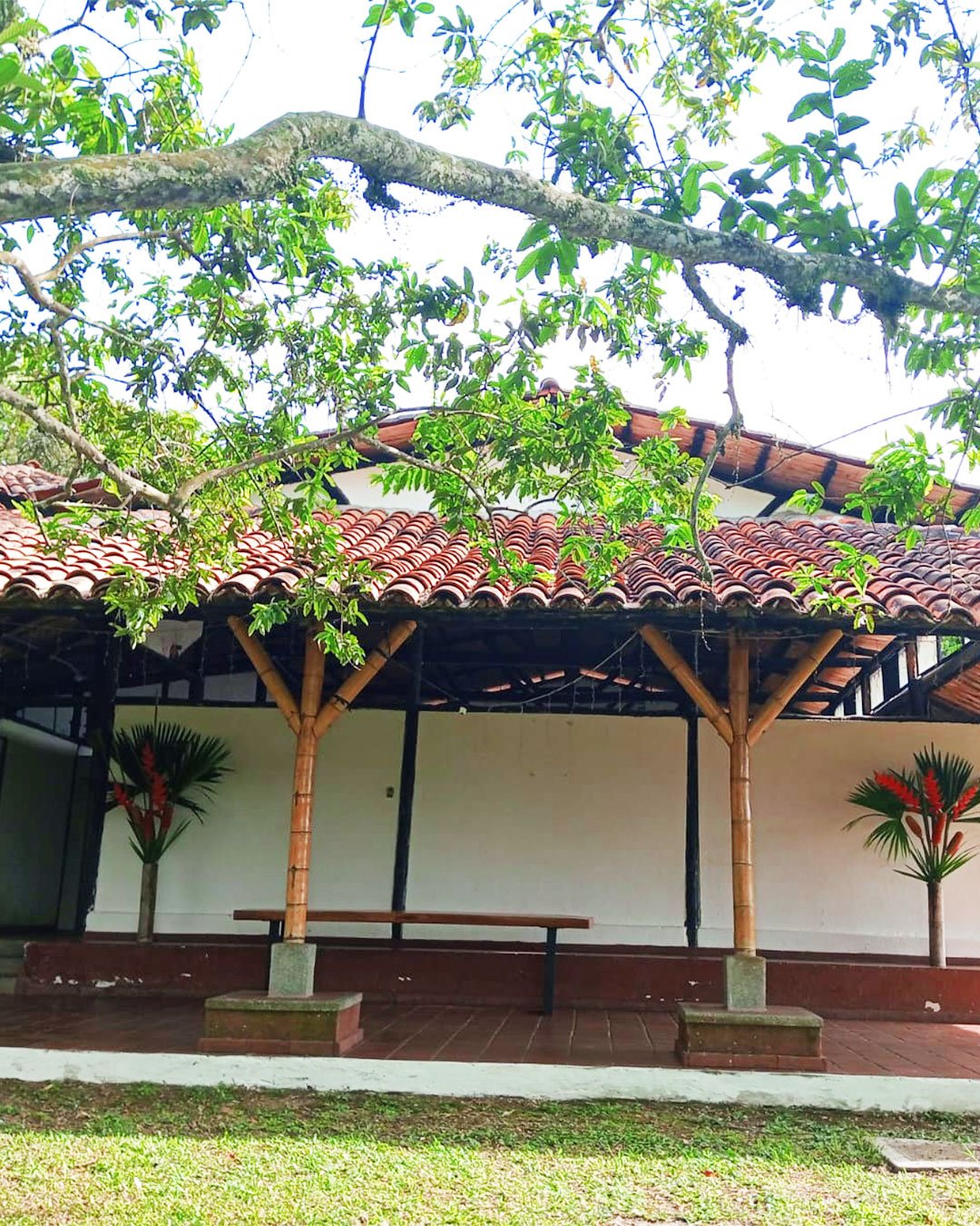 salón-quindío-amanecer-01